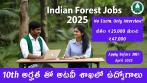 Forest Jobs 2025