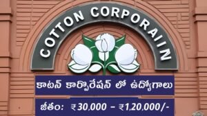 CCI Recruitment 2025