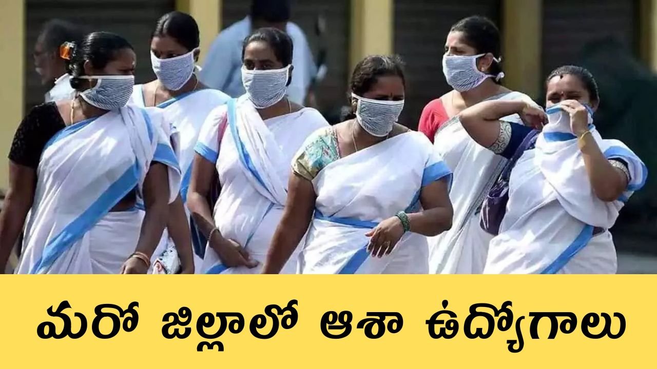Asha Jobs 2025
