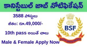 BSF Recruitment 2025