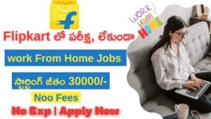 Flipkart Work From Home Jobs 2025