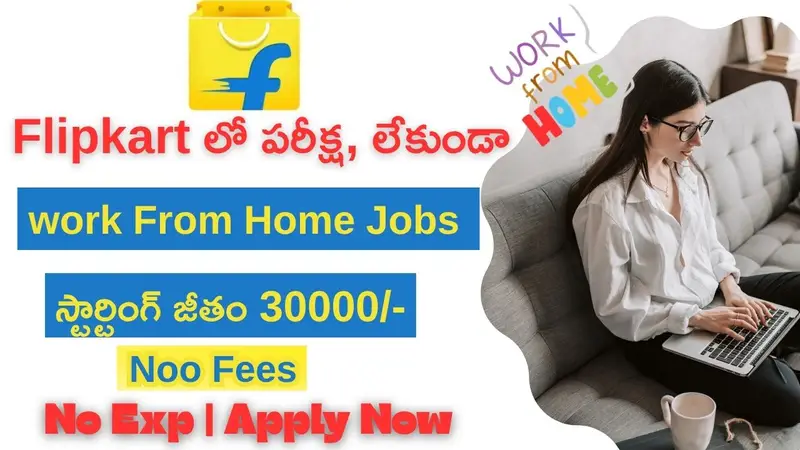 Flipkart Work From Home Jobs 2025