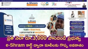 e-Shram Cards