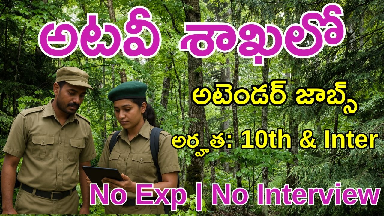 WII Recruitment 2025