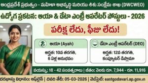 DWCWEO Recruitment 2026