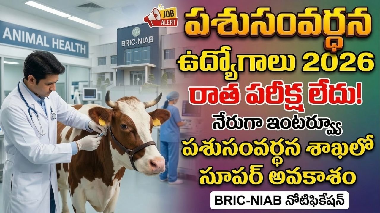 Animal Husbandry Jobs 2026