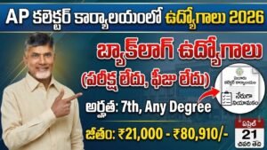 AP Collector Office Jobs 2026