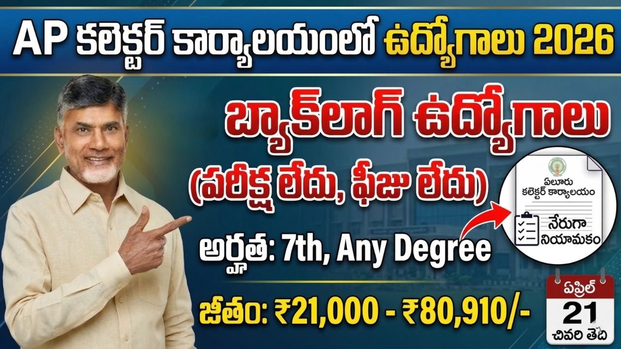 AP Collector Office Jobs 2026