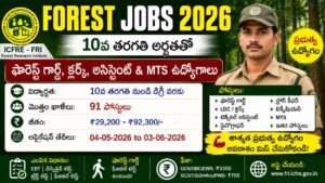 Forest Jobs 2026